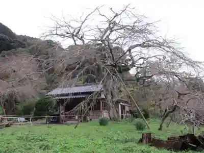 南明寺(山口県)