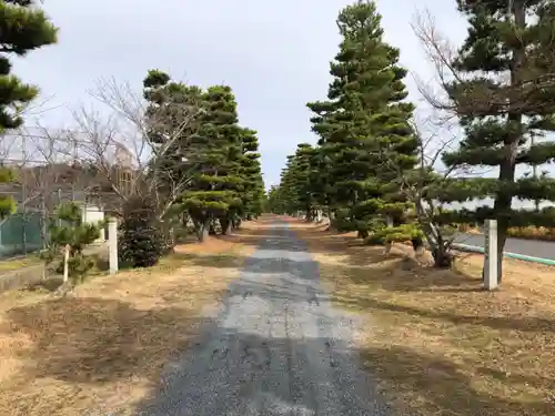 兵主大社の建物その他