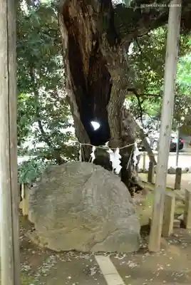 金王八幡宮のその他建物