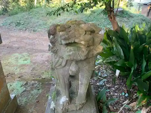 柏原神社の狛犬