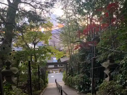 座間神社の鳥居