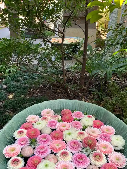 行田八幡神社の手水舎