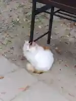 阿邪訶根神社(福島県)