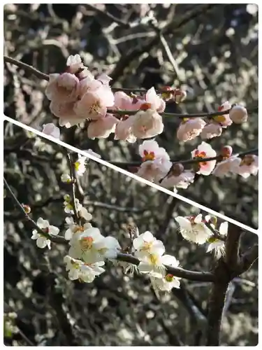 瑞泉寺(神奈川県)