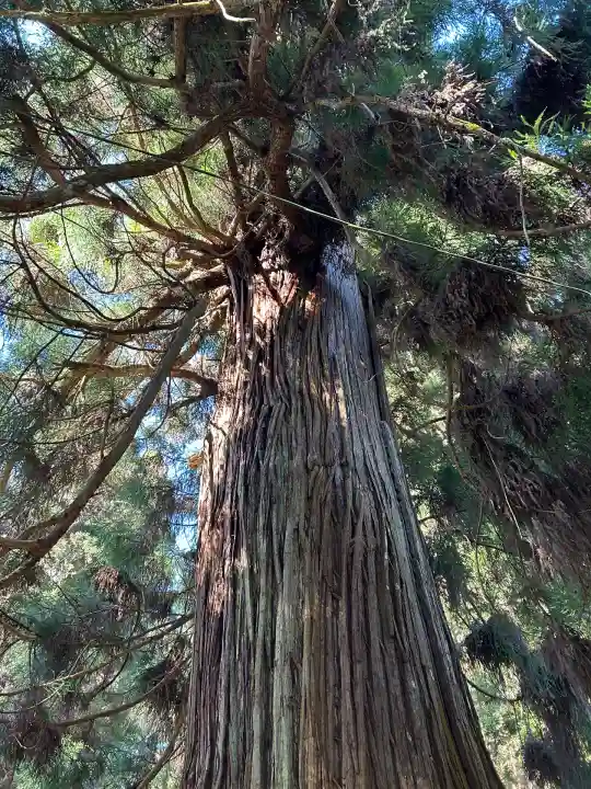 八柱神社(長野県)