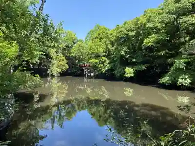 武蔵一宮氷川神社(埼玉県)