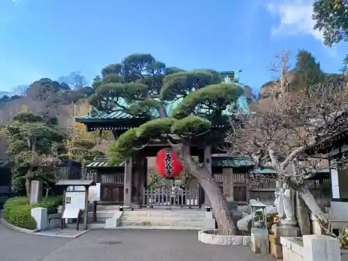 長谷寺の{uncategorized: "未分類", other: "その他", undefined: "問題あり", building: "その他建物", grave: "お墓", sacred_gate: "鳥居", guardian: "狛犬", statue: "像", buddha: "仏像", history: "歴史", nature: "自然", garden: "庭園", animal: "動物", pagoda: "塔", temizu: "手水舎", mountain_gate: "山門・神門", sanctuary: "本殿・本堂", subordinate: "末社・摂社", art: "芸術", scenery: "景色", jizo: "地蔵", ema: "絵馬", goshuin: "御朱印", omikuji: "おみくじ", items: "授与品その他", amulet: "お守り", goshuincho: "御朱印帳", eats: "食事", festival: "お祭り", votive_dance: "神楽", shichigosan: "七五三参", wedding: "結婚式", experience: "体験その他", initially: "初詣", around: "周辺", anti_infection: "感染症対策"}