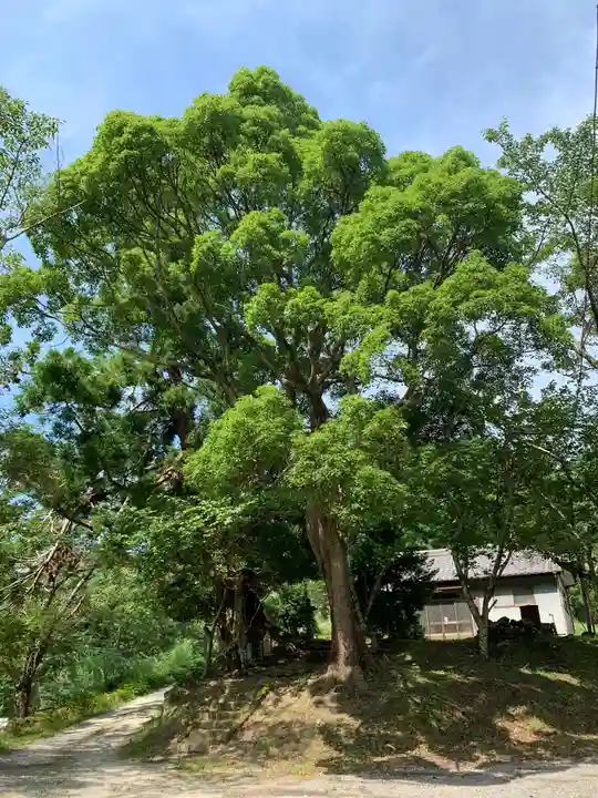川田不動尊の自然
