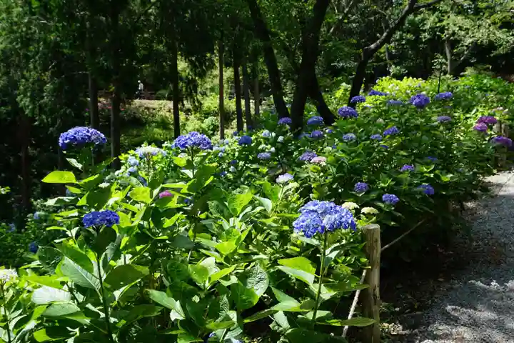 救馬溪観音の庭園