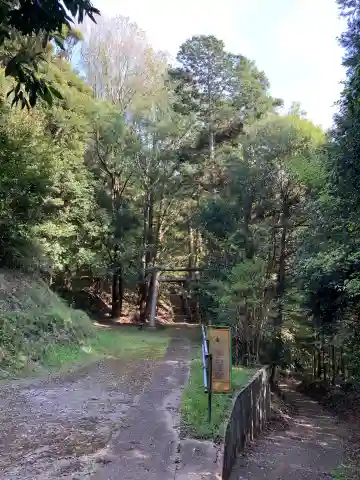 熊野神社(千葉県)