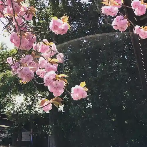鹿島台神社の自然