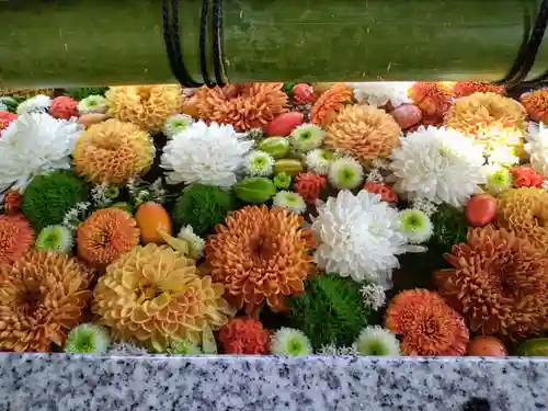 富岡八幡宮の手水舎