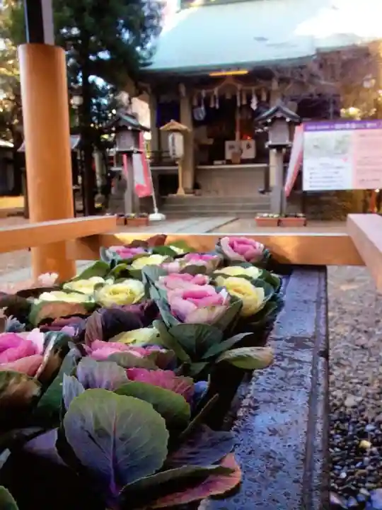 上目黒氷川神社(東京都)