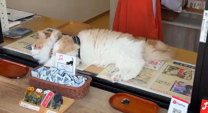 駒込妙義神社(東京都)