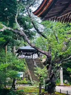 松尾寺(京都府)