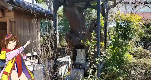 正覚寺(東京都)