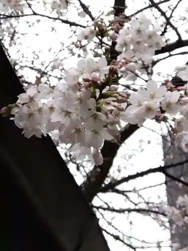 難波神社(大阪府)