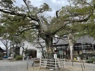 生根神社(大阪府)