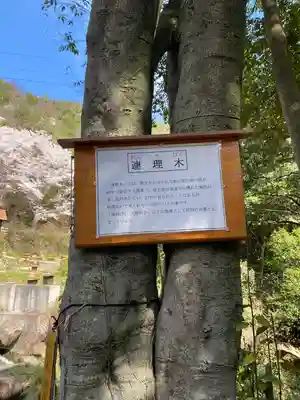 早瀧比咩神社の自然
