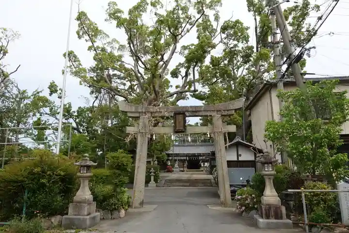 羽束師坐高御産日神社の鳥居