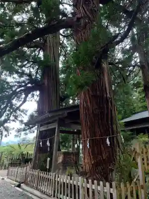 仁科神明宮(長野県)