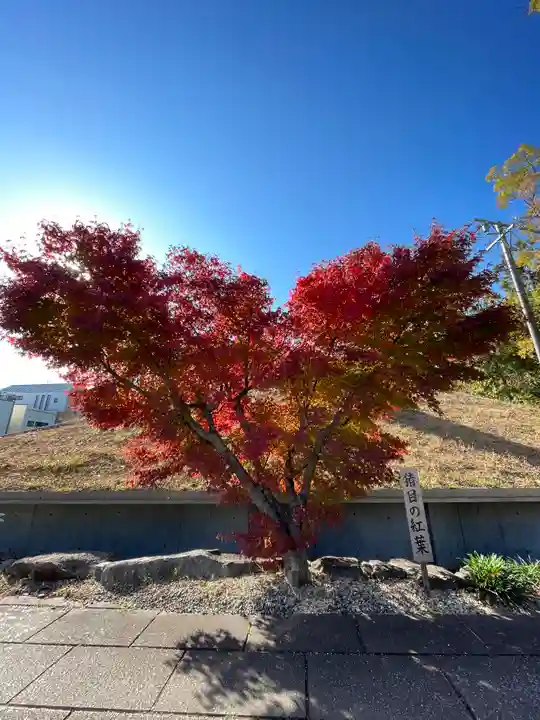 伊勢の国 四天王寺(三重県)