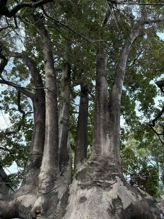 満足稲荷神社の{uncategorized: "未分類", other: "その他", undefined: "問題あり", building: "その他建物", grave: "お墓", sacred_gate: "鳥居", guardian: "狛犬", statue: "像", buddha: "仏像", history: "歴史", nature: "自然", garden: "庭園", animal: "動物", pagoda: "塔", temizu: "手水舎", mountain_gate: "山門・神門", sanctuary: "本殿・本堂", subordinate: "末社・摂社", art: "芸術", scenery: "景色", jizo: "地蔵", ema: "絵馬", goshuin: "御朱印", omikuji: "おみくじ", items: "授与品その他", amulet: "お守り", goshuincho: "御朱印帳", eats: "食事", festival: "お祭り", votive_dance: "神楽", shichigosan: "七五三参", wedding: "結婚式", experience: "体験その他", initially: "初詣", around: "周辺", anti_infection: "感染症対策"}
