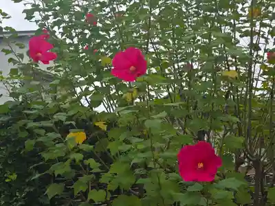 紅谷庵(大阪府)