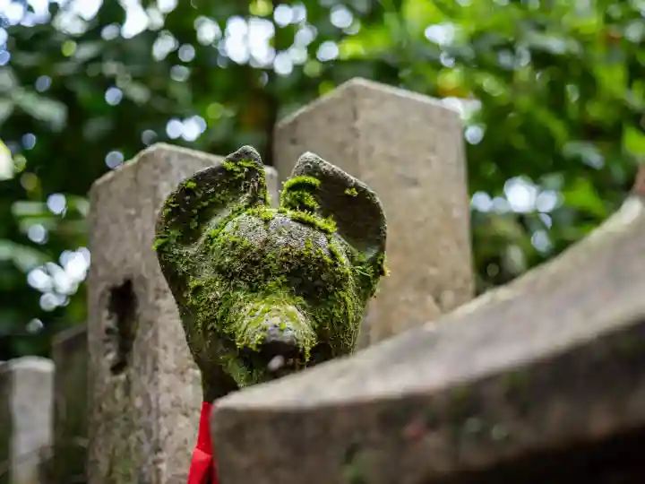 伏見稲荷大社三ノ峰(下之社神蹟・白菊大神)の{uncategorized: "未分類", other: "その他", undefined: "問題あり", building: "その他建物", grave: "お墓", sacred_gate: "鳥居", guardian: "狛犬", statue: "像", buddha: "仏像", history: "歴史", nature: "自然", garden: "庭園", animal: "動物", pagoda: "塔", temizu: "手水舎", mountain_gate: "山門・神門", sanctuary: "本殿・本堂", subordinate: "末社・摂社", art: "芸術", scenery: "景色", jizo: "地蔵", ema: "絵馬", goshuin: "御朱印", omikuji: "おみくじ", items: "授与品その他", amulet: "お守り", goshuincho: "御朱印帳", eats: "食事", festival: "お祭り", votive_dance: "神楽", shichigosan: "七五三参", wedding: "結婚式", experience: "体験その他", initially: "初詣", around: "周辺", anti_infection: "感染症対策"}