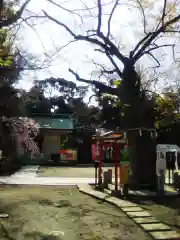 新田神社の建物その他