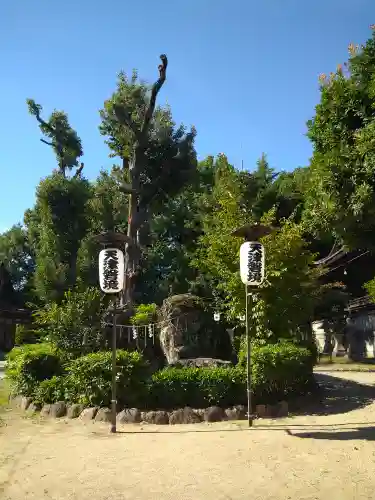 阿智神社の庭園