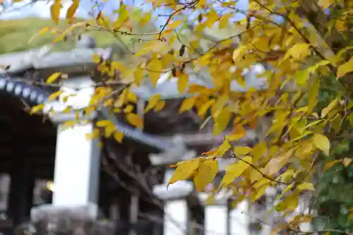 長谷寺(奈良県)