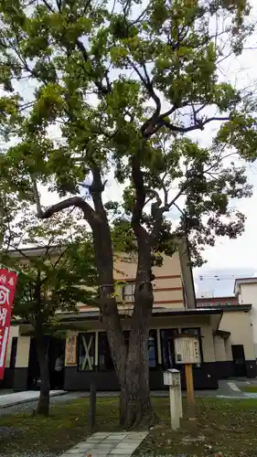 空知神社の自然