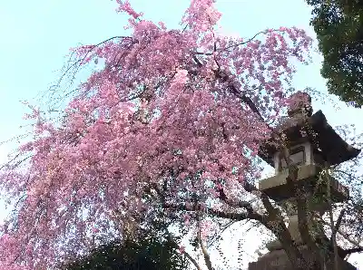 靖國神社の自然