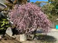 和泉國一之宮　大鳥大社(大阪府)