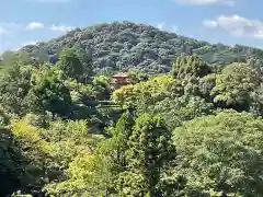 清水寺(京都府)