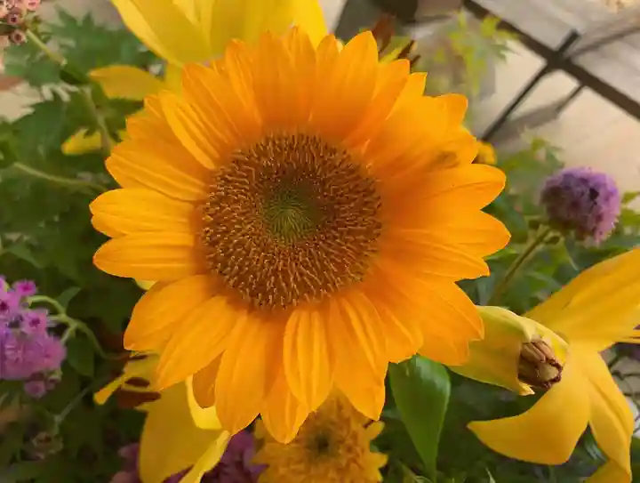 滑川神社 - 仕事と子どもの守り神の手水舎