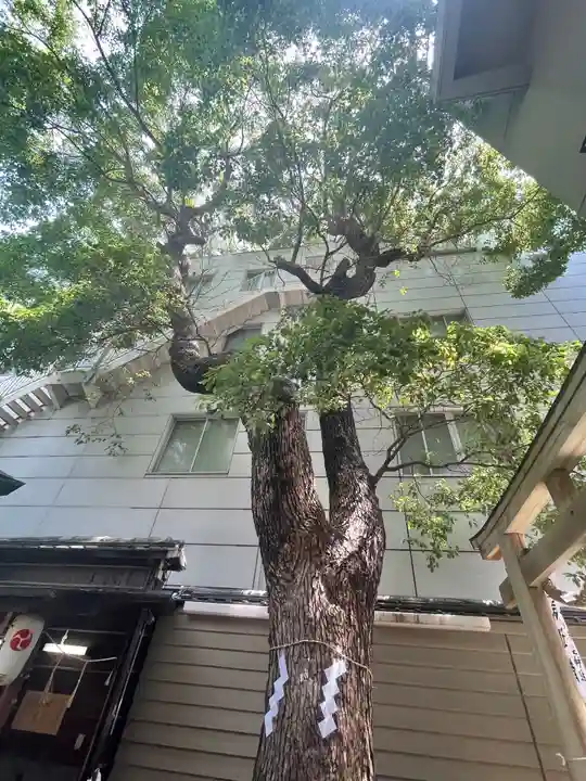 少彦名神社の自然