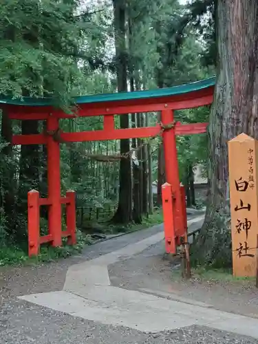 白山神社(岩手県)