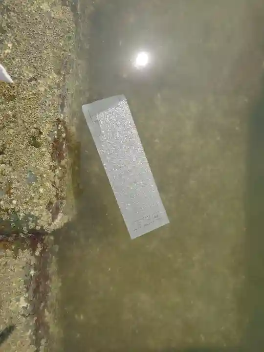 鳴無神社(高知県)