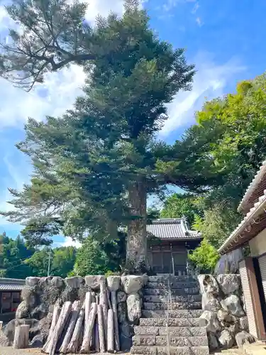 津島神社(岐阜県)