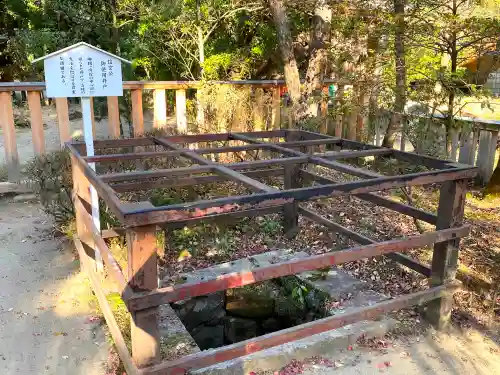 武田神社の庭園