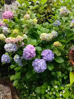 筑波山神社(茨城県)