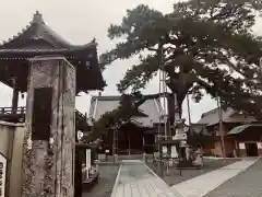 大慶寺の建物その他