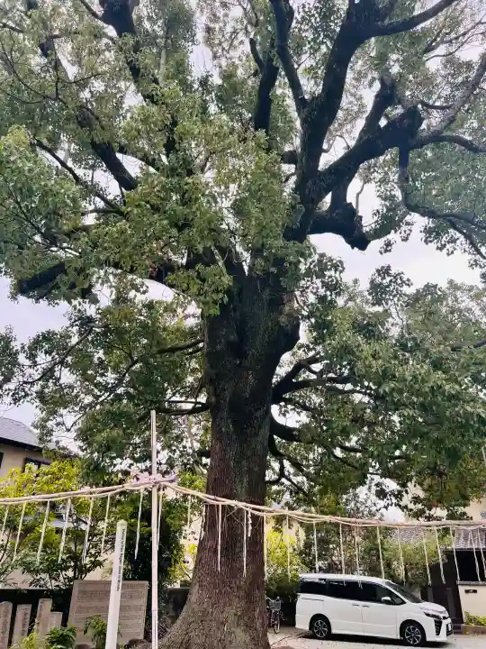 呉服神社(大阪府)