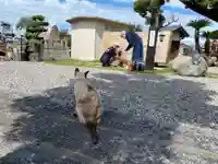宣隆寺(三重県)