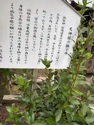 戸隠神社(新潟県)