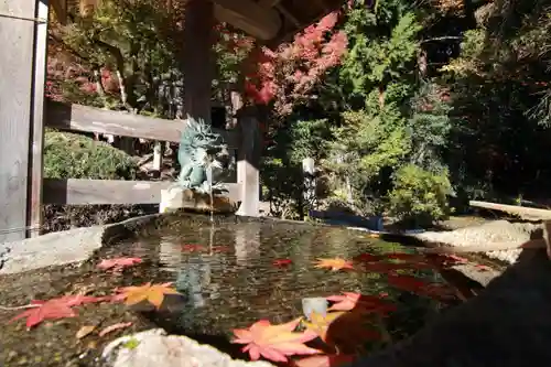 鹿島大神宮の手水