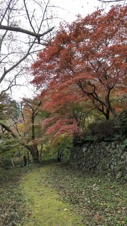 勝持寺(花の寺)(京都府)