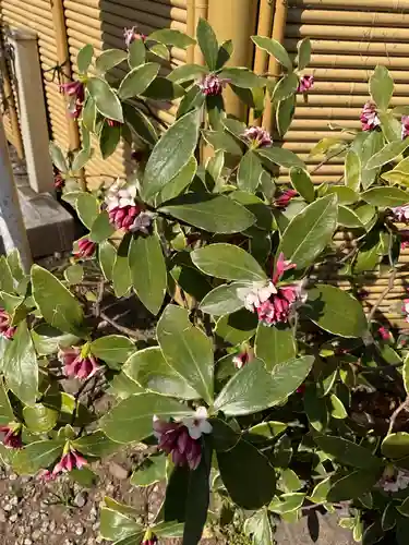 蛇窪神社(東京都)